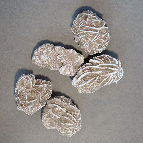 This stunning crystal isn’t just a visual masterpiece—it’s a powerful tool for grounding, clarity, and spiritual growth. 

Formed in dry, sandy conditions, Desert Rose carries the energy of both Earth and Wind, helping to dissolve old thought patterns and bring mental clarity. It’s a favorite for meditation and intention-setting, especially when you're seeking focus or emotional release.

🔮 Benefits:
• Clears energy blockages
• Boosts mental clarity and intuition
• Promotes self-confidence and inner peace
• Assists with past-life recall

Place it in your sacred space or carry it during times of transition. Each "rose" is uniquely formed by nature—like a frozen bloom of sand and spirit. 
.
.
.
#DesertRoseSelenite #CrystalHealing #GroundingEnergy #EnergyWork #sacredspace  #SpiritualJourney #ClarityAndCalm #florida #staugustine #smallbusiness #vilanobeach #thingstodoinstaugustine #thingstodoinflorida #staugustine #staugustinebeach #staugustineflorida #goldengypsylife #spiritual #greenwitch #metaphysical #crystalshop #healing #magick #gemstones #energy #goldengypsy #goldengyspylife